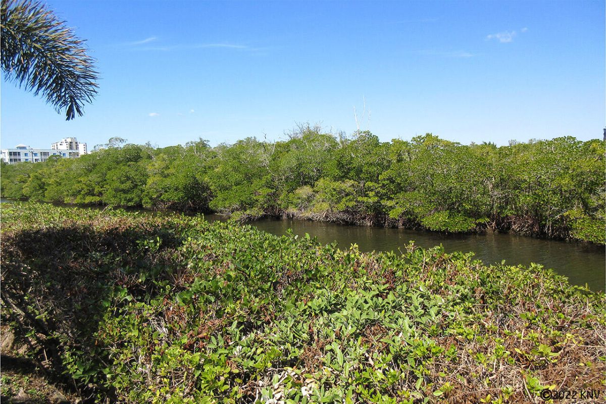 Admirals Bay sits on the canal bordering the Preserve