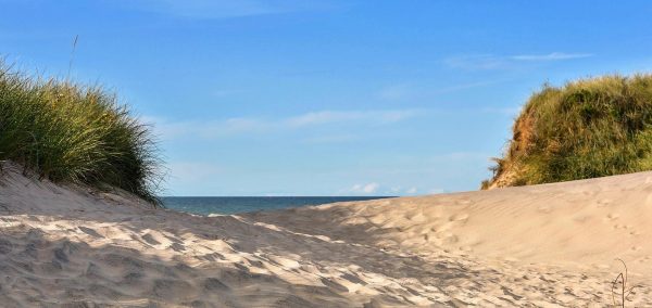 sand dunes at beach